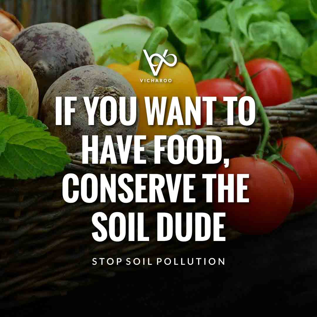 if-you-want-to-have-food-conserve-the-soil-dude-land-pollution