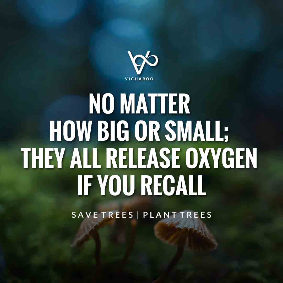 No matter how big or small; they all release oxygen if you recall | Save Forests | Tree Plantation Slogans & Quotes | Vicharoo