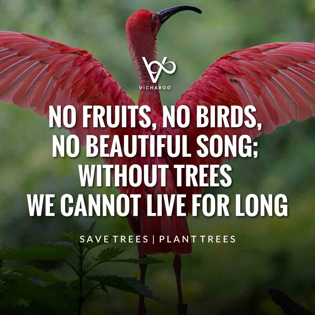 No fruits, no birds, no beautiful song; without trees, we cannot live for long | Save Forests | Tree Plantation Slogans & Quotes | Vicharoo