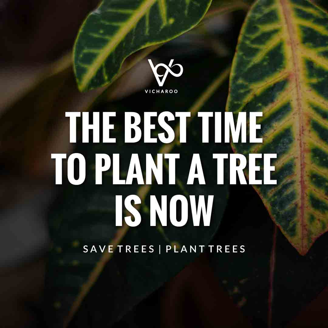 The best time to plant a tree is now | Save Forests | Tree Plantation Slogans & Quotes | Vicharoo
