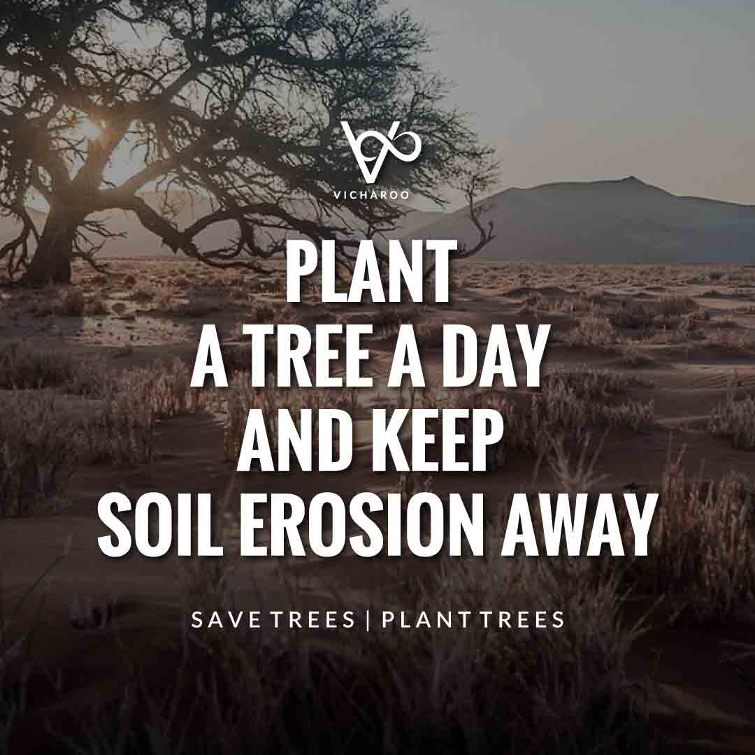 Plant A Tree A Day And Keep Soil Erosion Away | Save Forests | Tree ...