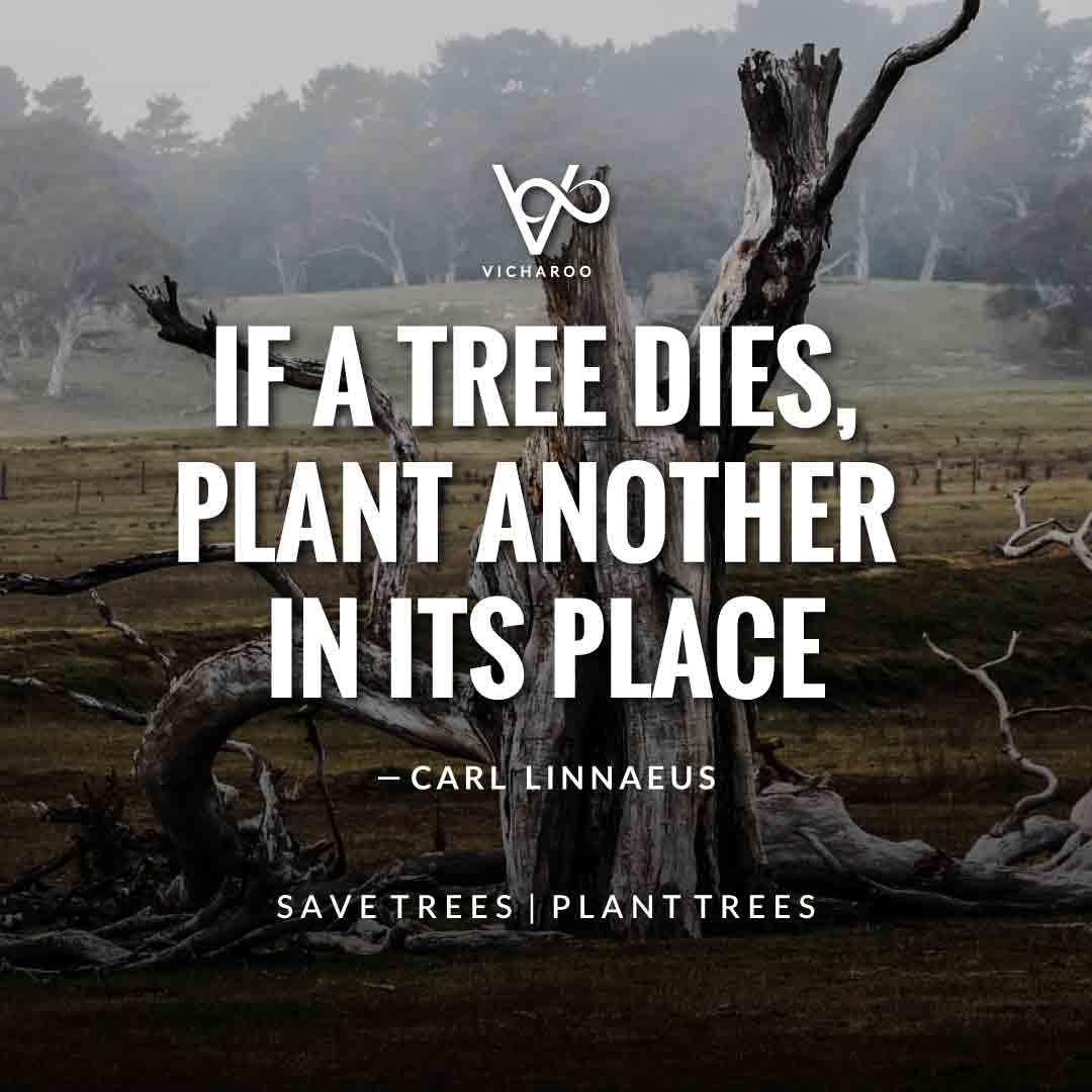 If a tree dies, plant another in its place - Carl Linnaeus | Save Forests | Tree Plantation Slogans & Quotes | Vicharoo