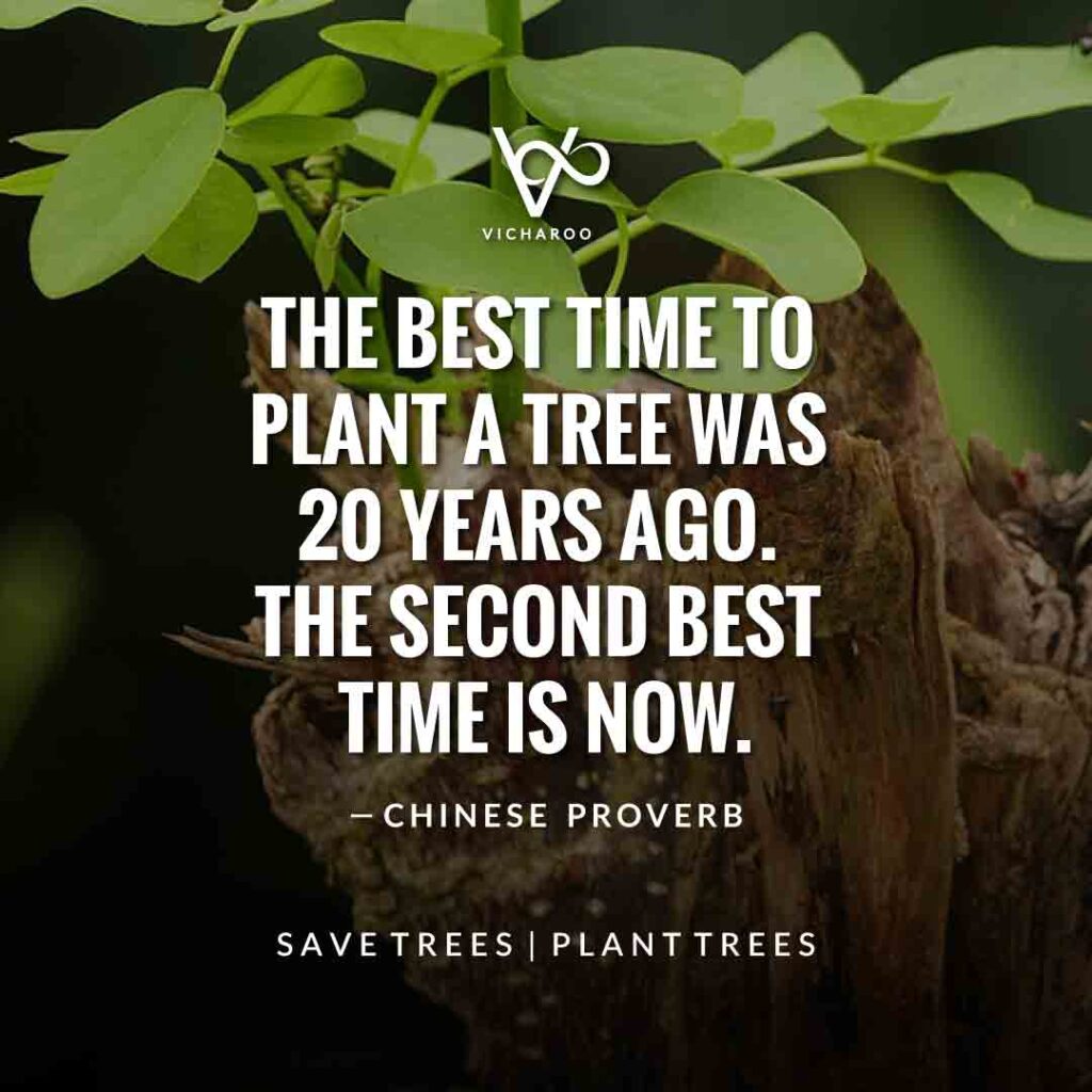 The best time to plant a tree was twenty years ago. The second best time is now | Save Forests | Tree Plantation Slogans & Quotes | Vicharoo