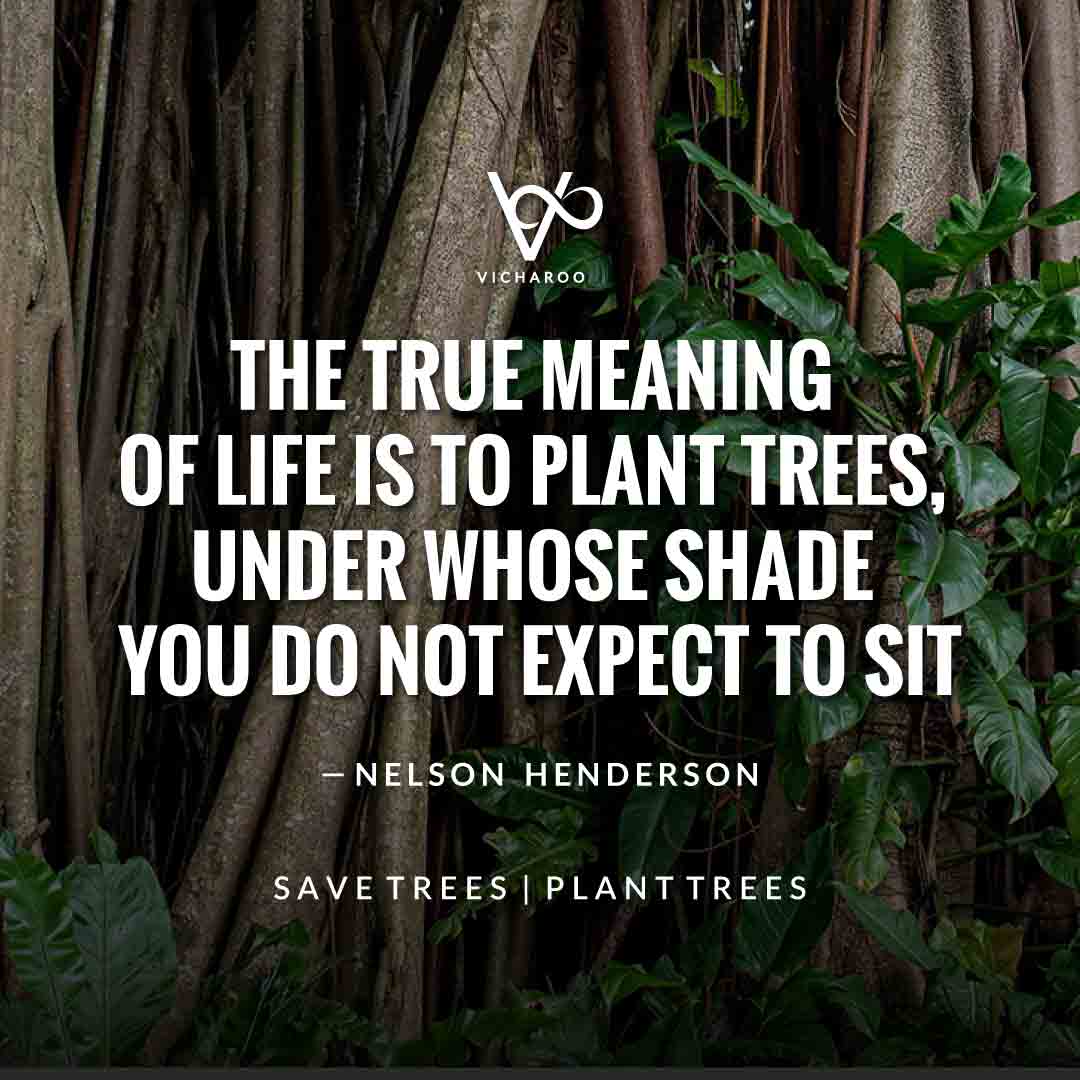 The True Meaning Of Life Is To Plant Trees, Under Whose Shade You Do ...