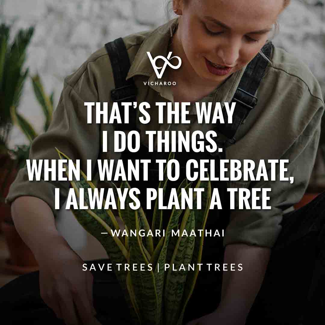 That's the way I do things. When I want to celebrate, I always plant a tree-Wangari Maathai | Save Forests | Tree Plantation Slogans & Quotes | Vicharoo