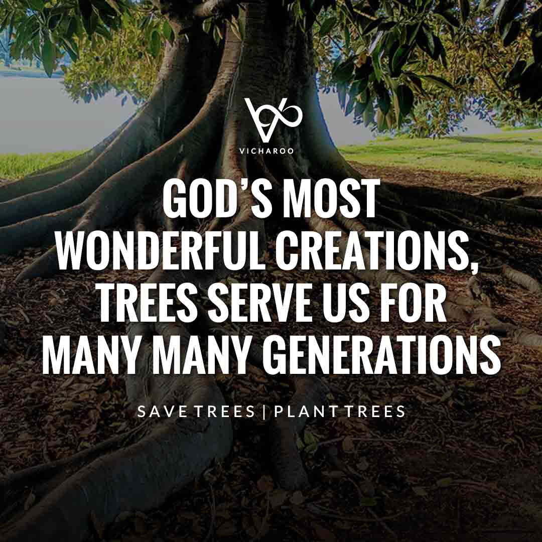 God's most wonderful creations, trees serve us for many many generations | Save Forests | Tree Plantation Slogans & Quotes | Vicharoo