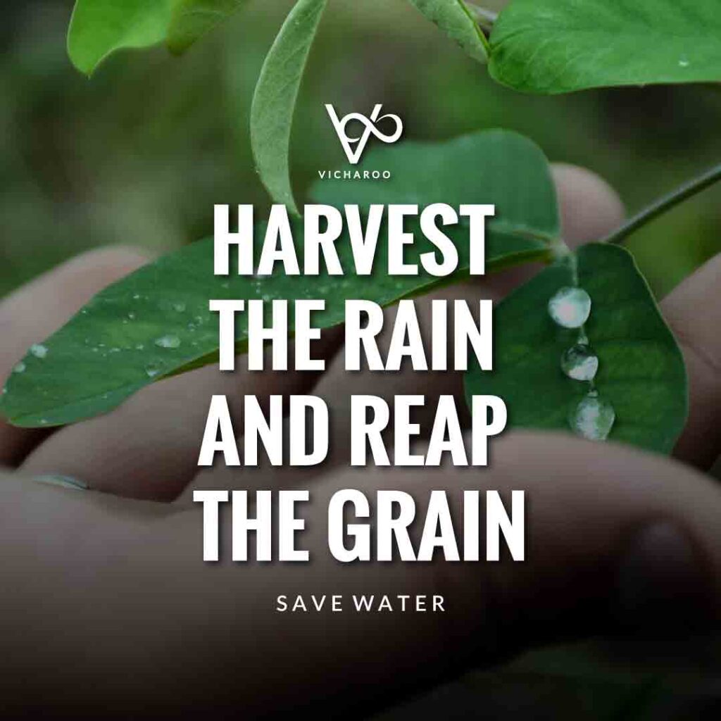 Harvest the rain and reap the grain | Rainwater Harvesting Slogans and Quotes
