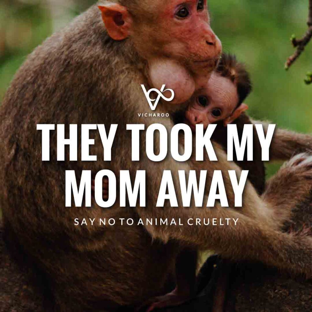 They took my mom away | World Animal Day | International Animal Rights Day Slogans & Quotes
