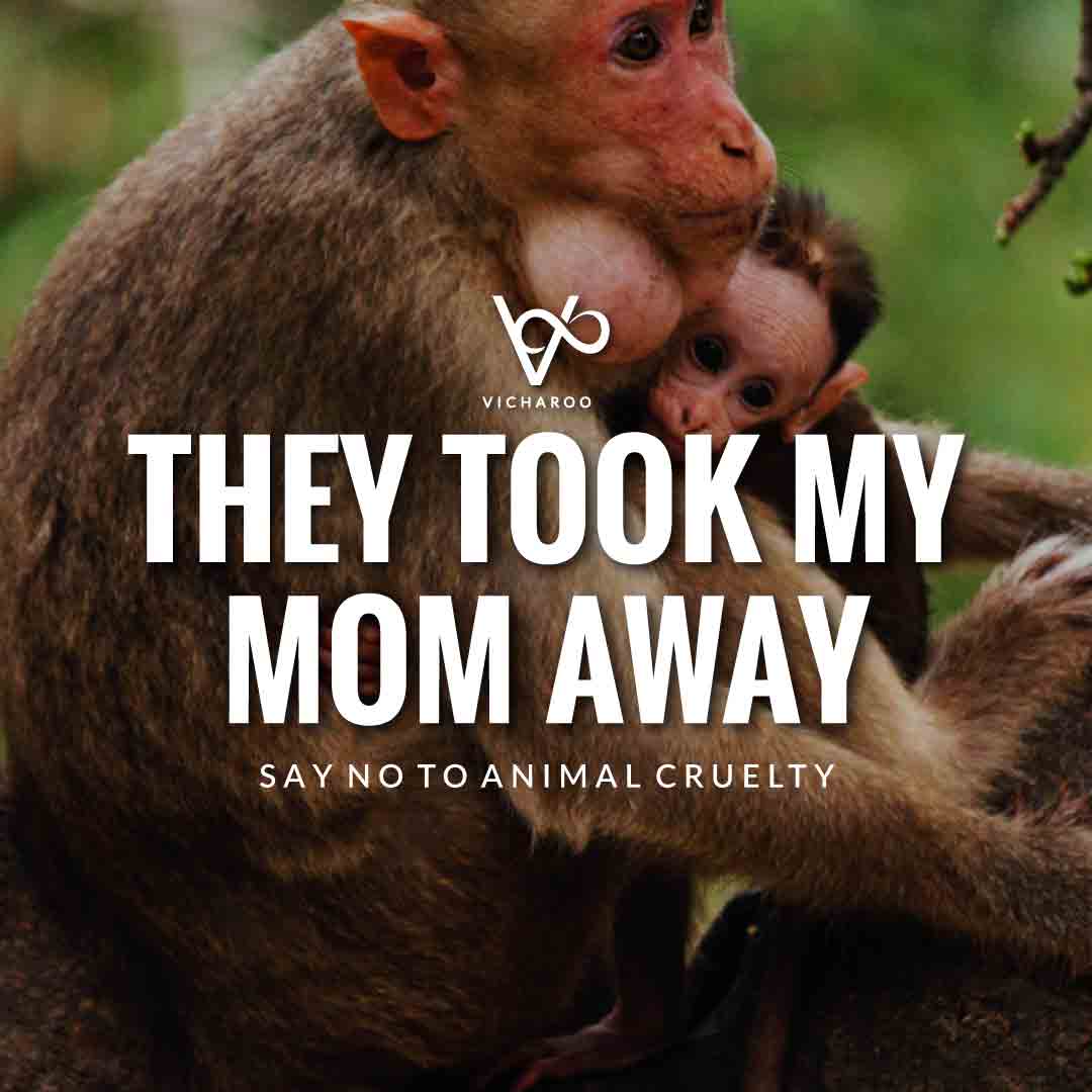 They took my mom away | World Animal Day | International Animal Rights Day Slogans & Quotes