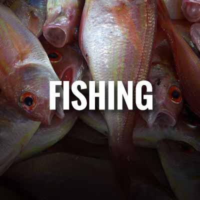 Fishing slogans and quotes