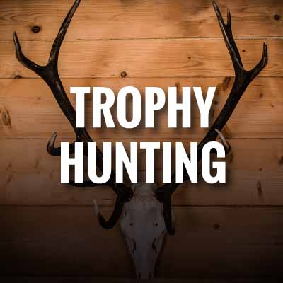 Trophy hunting slogans and quotes