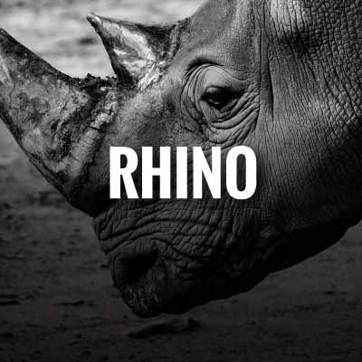 Rhino slogans and quotes