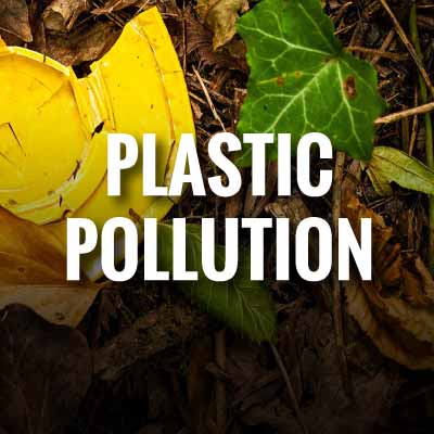 Plastic pollution slogans and quotes