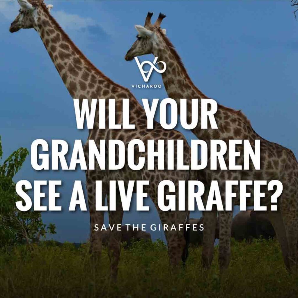 Will your grandchildren see a live Giraffe? | Save Giraffes Slogans | World Giraffe Day