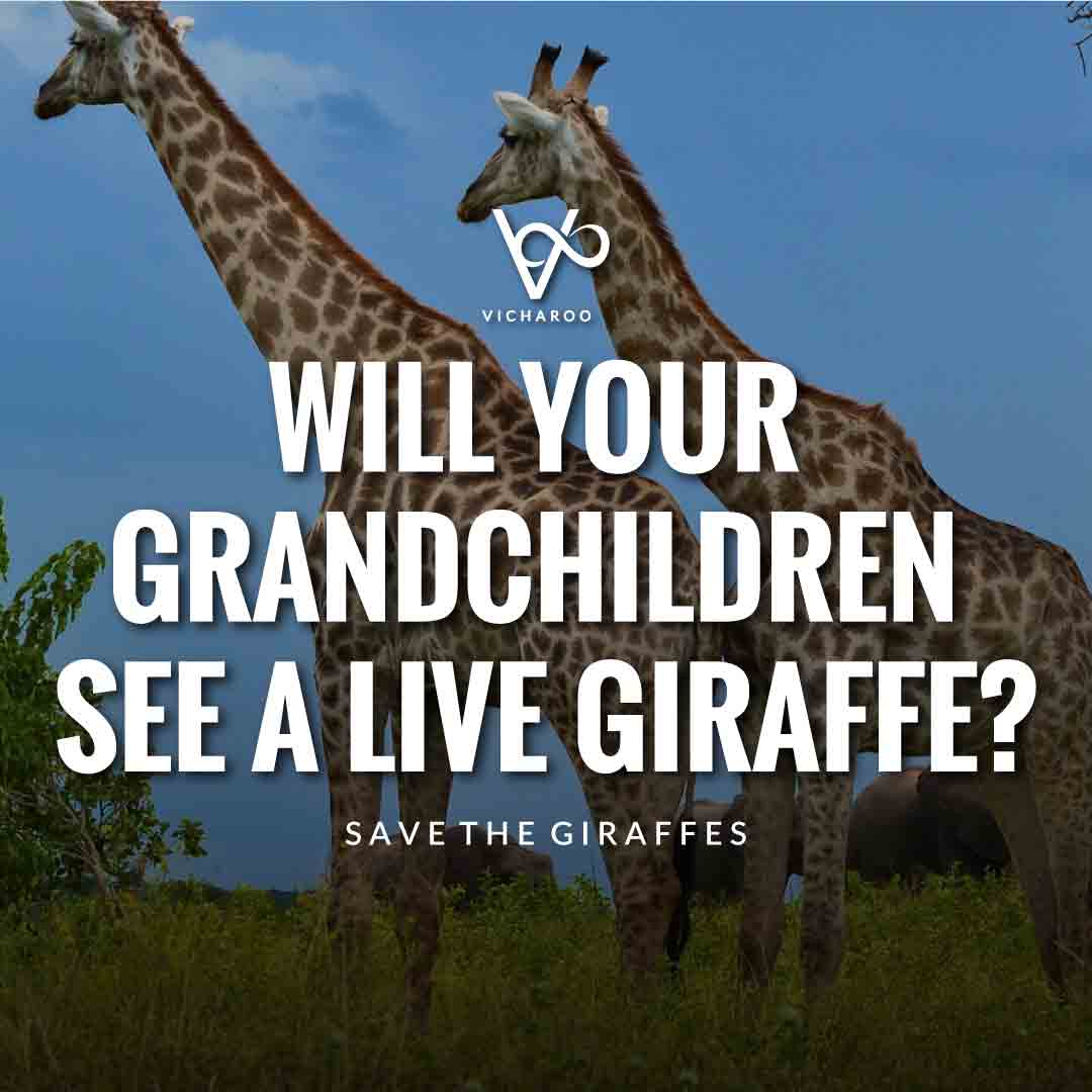 Will your grandchildren see a live Giraffe? | Save Giraffes Slogans | World Giraffe Day