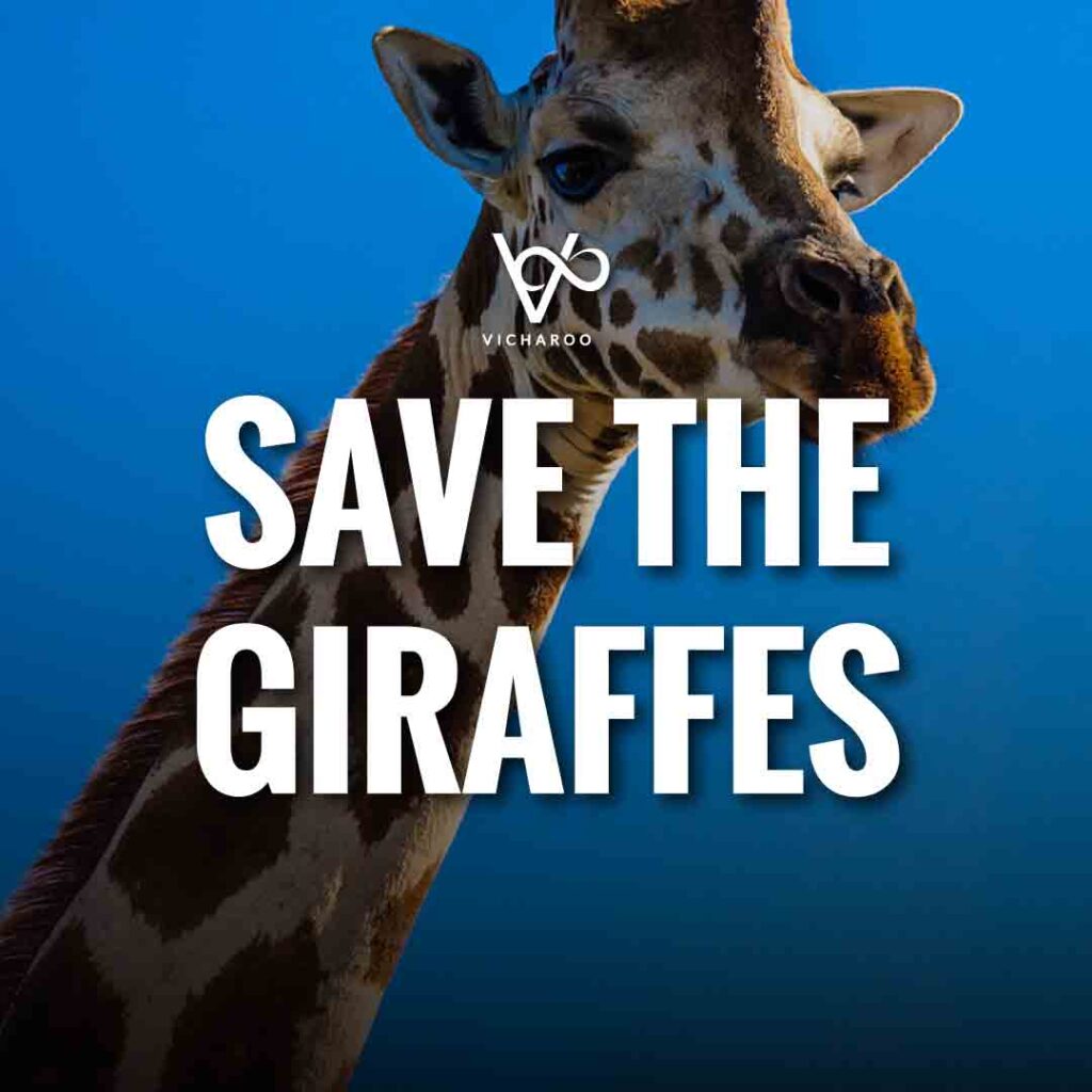 Save the Giraffes Slogans | World Giraffe Day