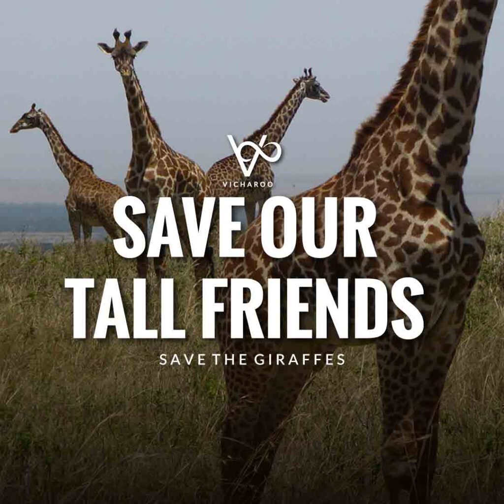 Save our tall friends | Save Giraffes Slogans | World Giraffe Day