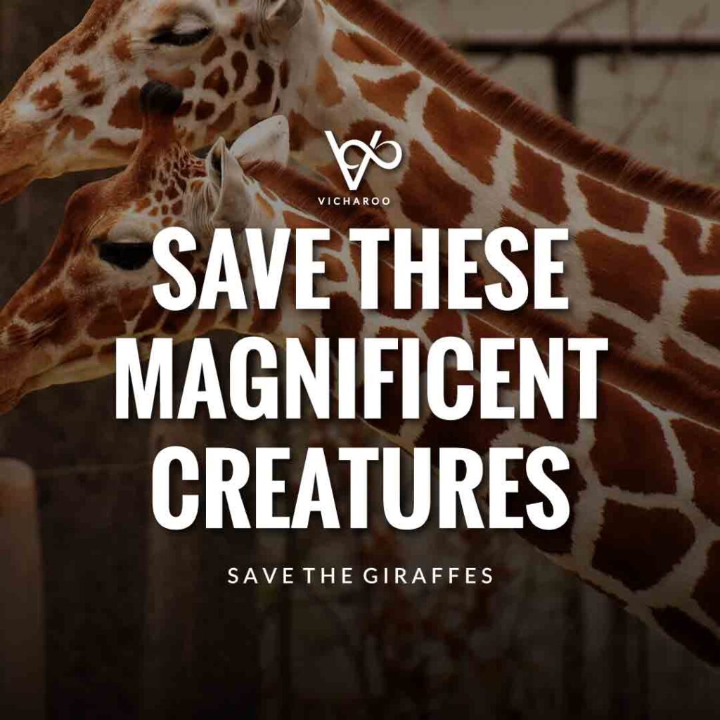 Save these magnificent creatures | Save Giraffes Slogans | World Giraffe Day