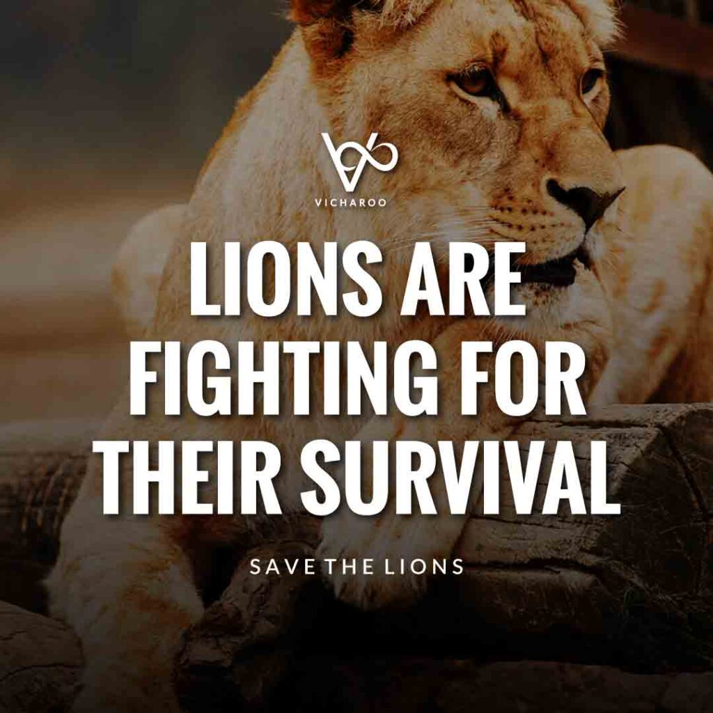 Lions are fighting for their survival | Save Lions | World Lion Day Slogans