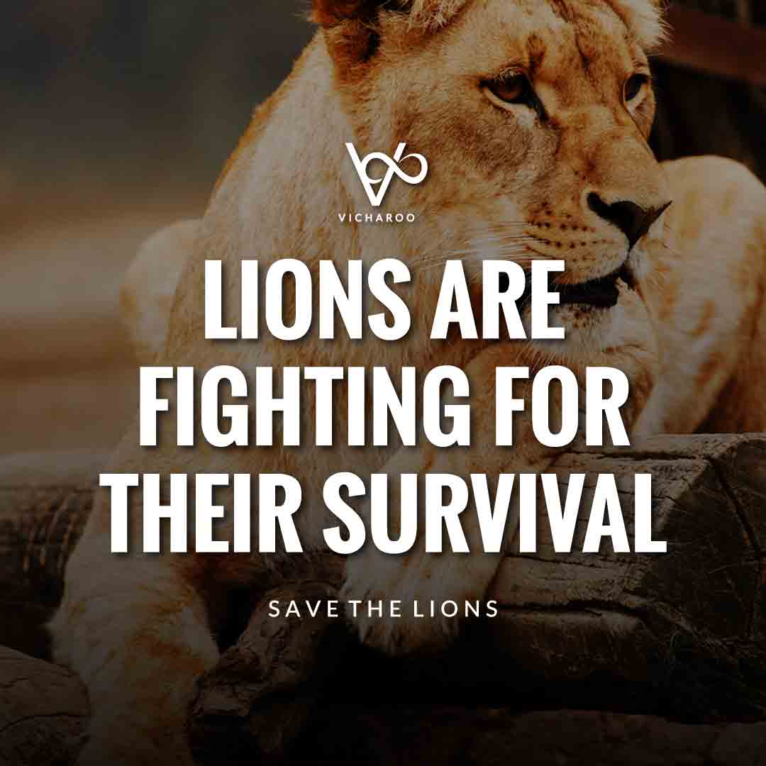 Lions are fighting for their survival | Save Lions | World Lion Day Slogans