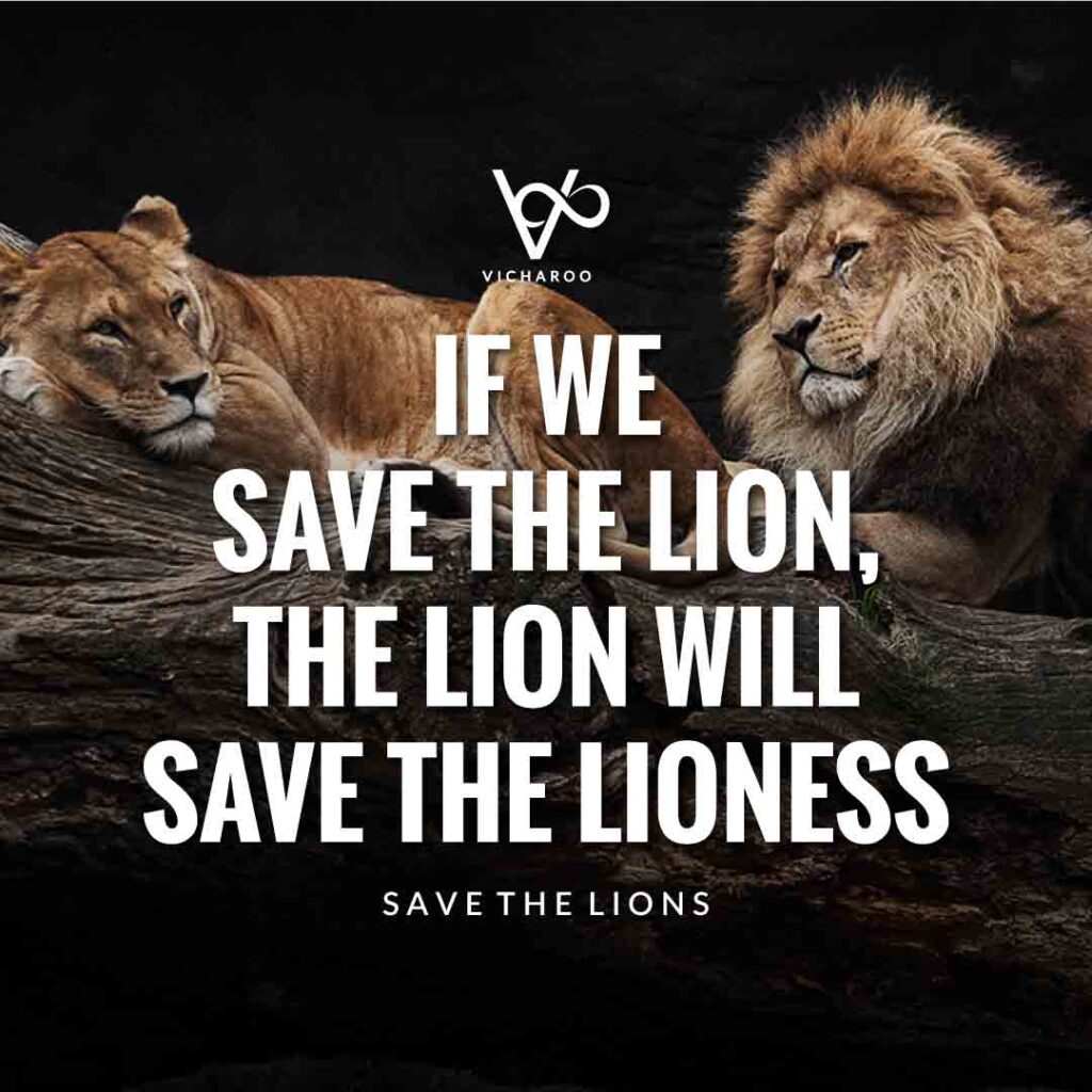 If we save the lion, the lion will save the lioness | Save Lions | World Lion Day Slogans