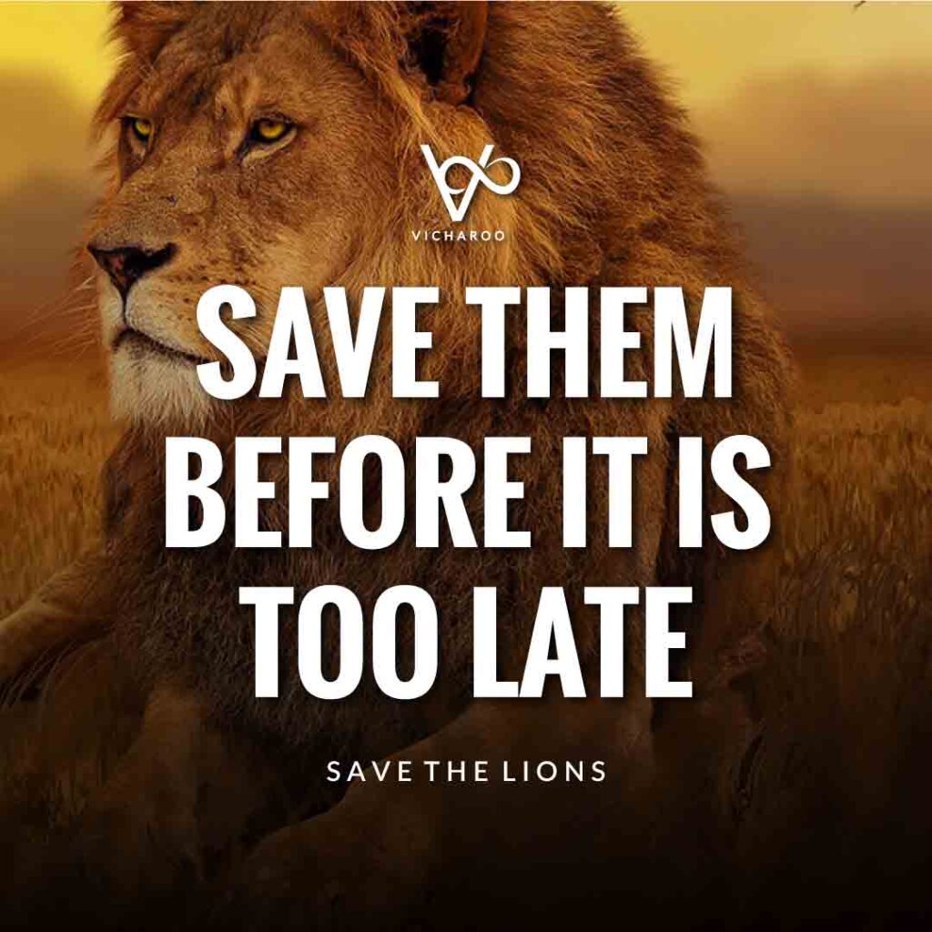 Save them before it is too late | Save Lions | World Lion Day Slogans