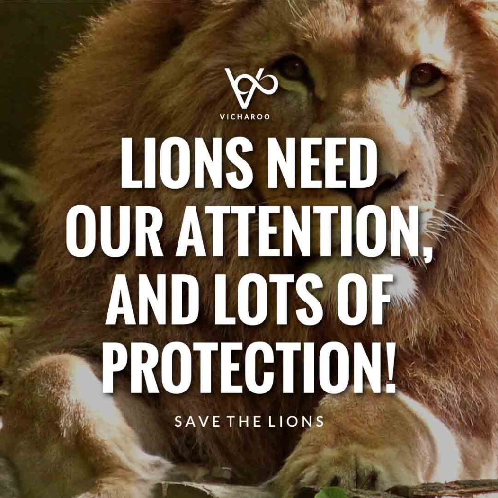 Lions need our attention, and lots of protection! | Save Lions | World Lion Day Slogans