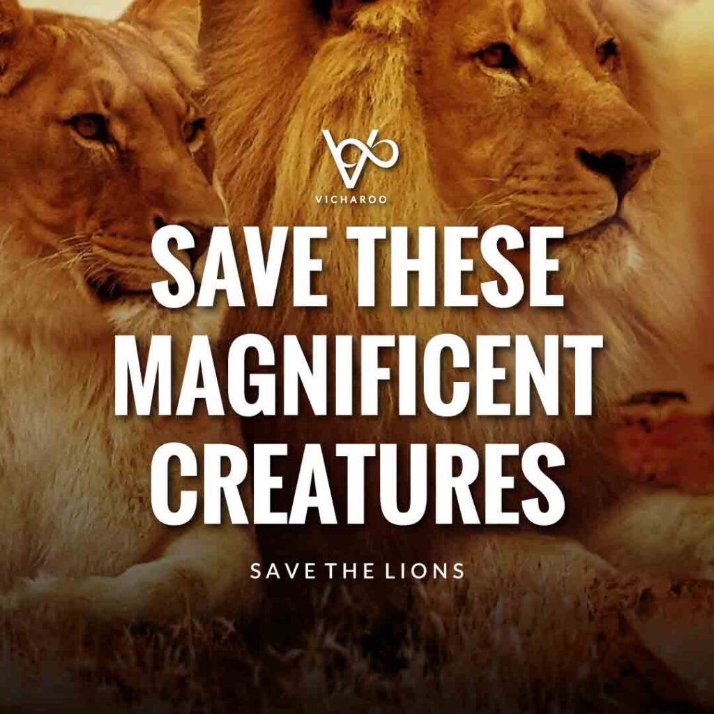 Save these magnificent creatures | Save Lions | World Lion Day Slogans