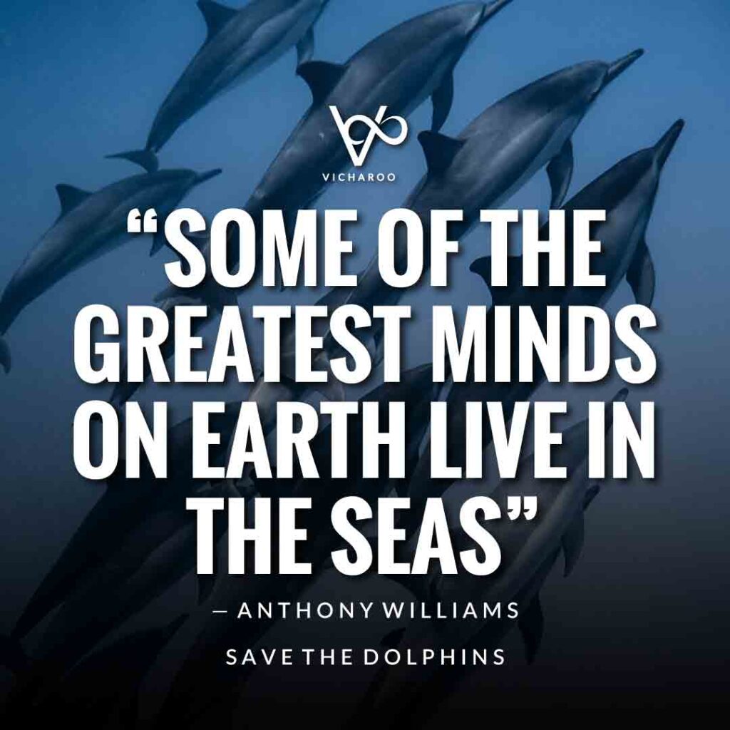 Some of the greatest minds on earth live in the seas — Anthony Williams | Save Dolphins Slogans and Quotes | National Dolphin Day