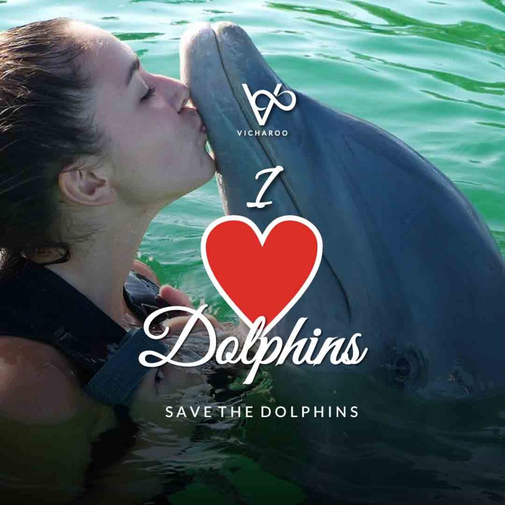 I love Dolphins Slogans and Quotes | National Dolphin Day 