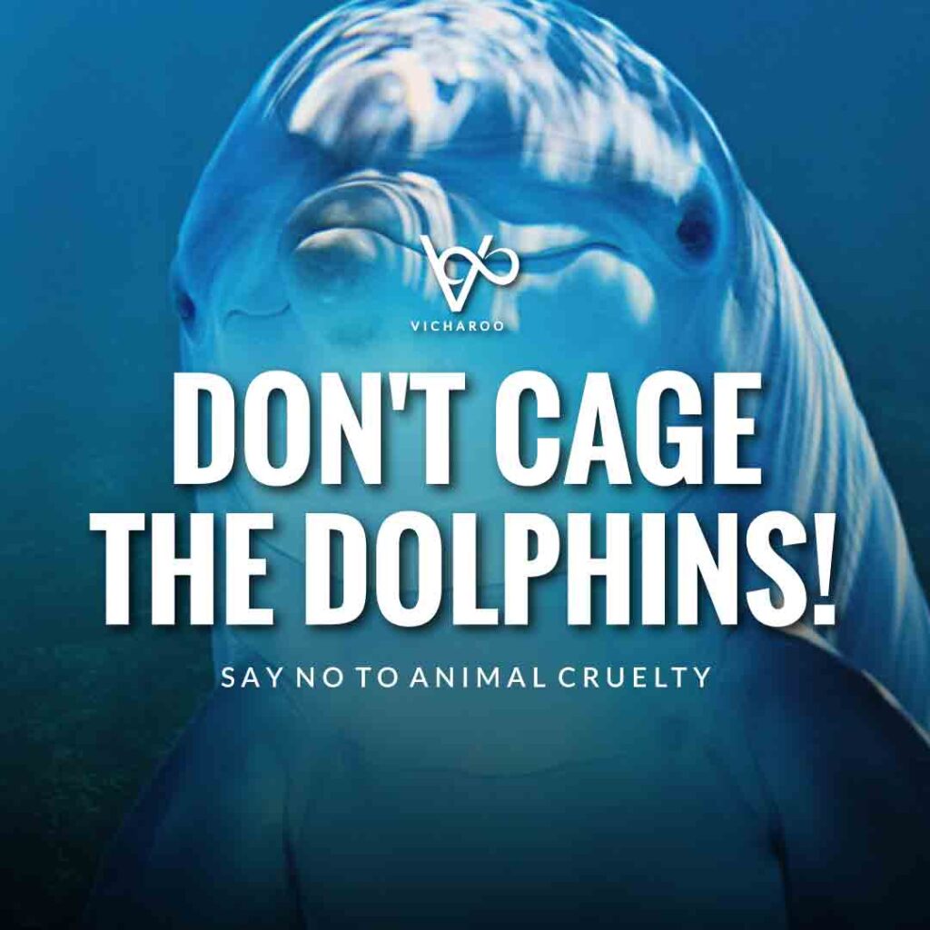 Don't cage the dolphins! | Save Dolphins Slogans and Quotes | National Dolphin Day