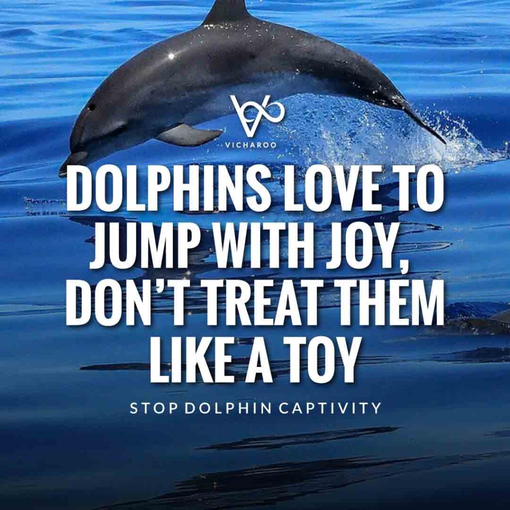 Dolphins love to jump with joy, don’t treat them like a toy | Save Dolphins Slogans and Quotes | National Dolphin Day