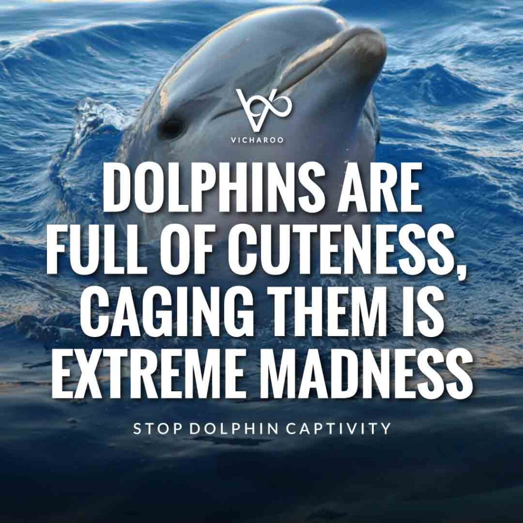Dolphins are full of cuteness, caging them is extreme madness | Save Dolphins Slogans and Quotes | National Dolphin Day