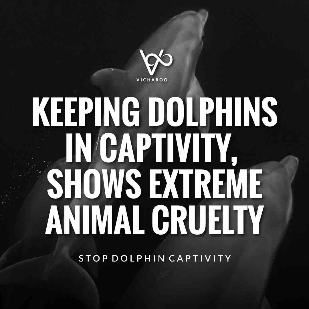 Keeping dolphins in captivity, shows extreme animal cruelty | Save Dolphins Slogans and Quotes | National Dolphin Day