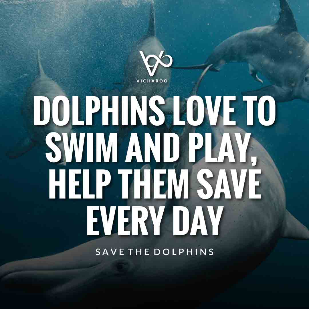 Dolphins love to swim and play, help them save every day | Save Dolphins Slogans and Quotes | National Dolphin Day