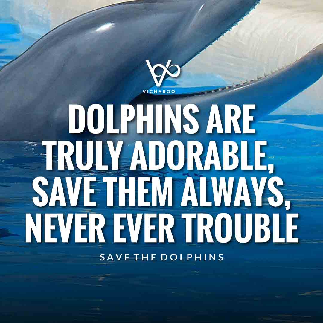 Dolphins are truly adorable, save them always, never ever trouble | Save Dolphins Slogans and Quotes | National Dolphin Day