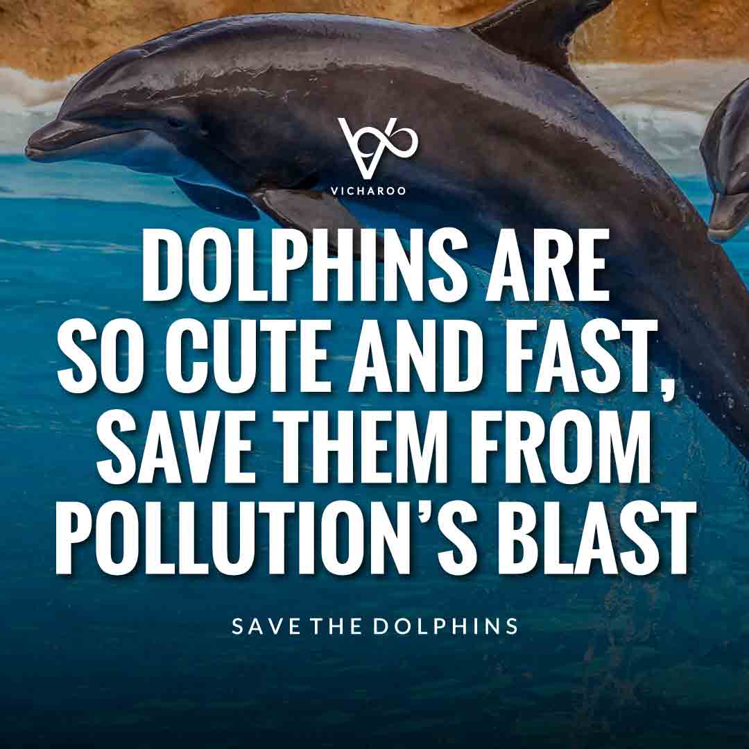 Dolphins are so cute and fast, save them from pollution’s blast | Save Dolphins Slogans and Quotes | National Dolphin Day