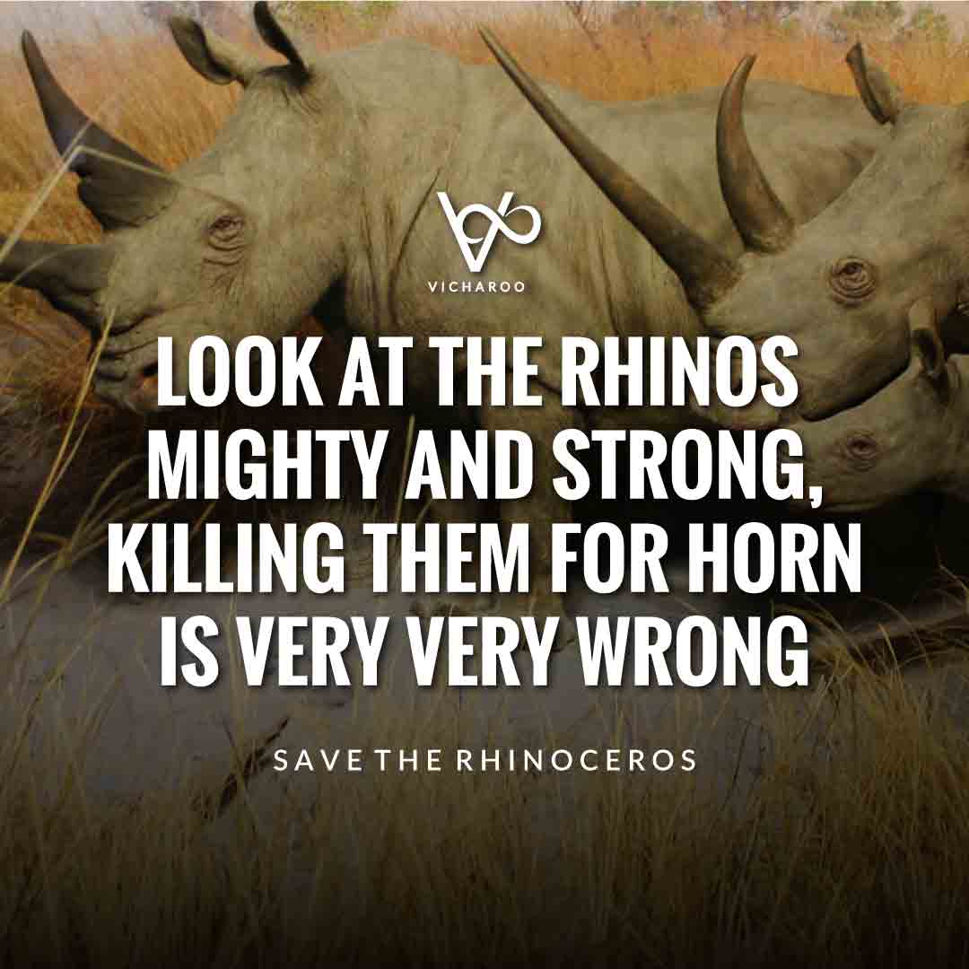 Look at the rhinos mighty and strong. killing them for horn is very very long | Save Rhinoceros Slogans | World Rhino Day