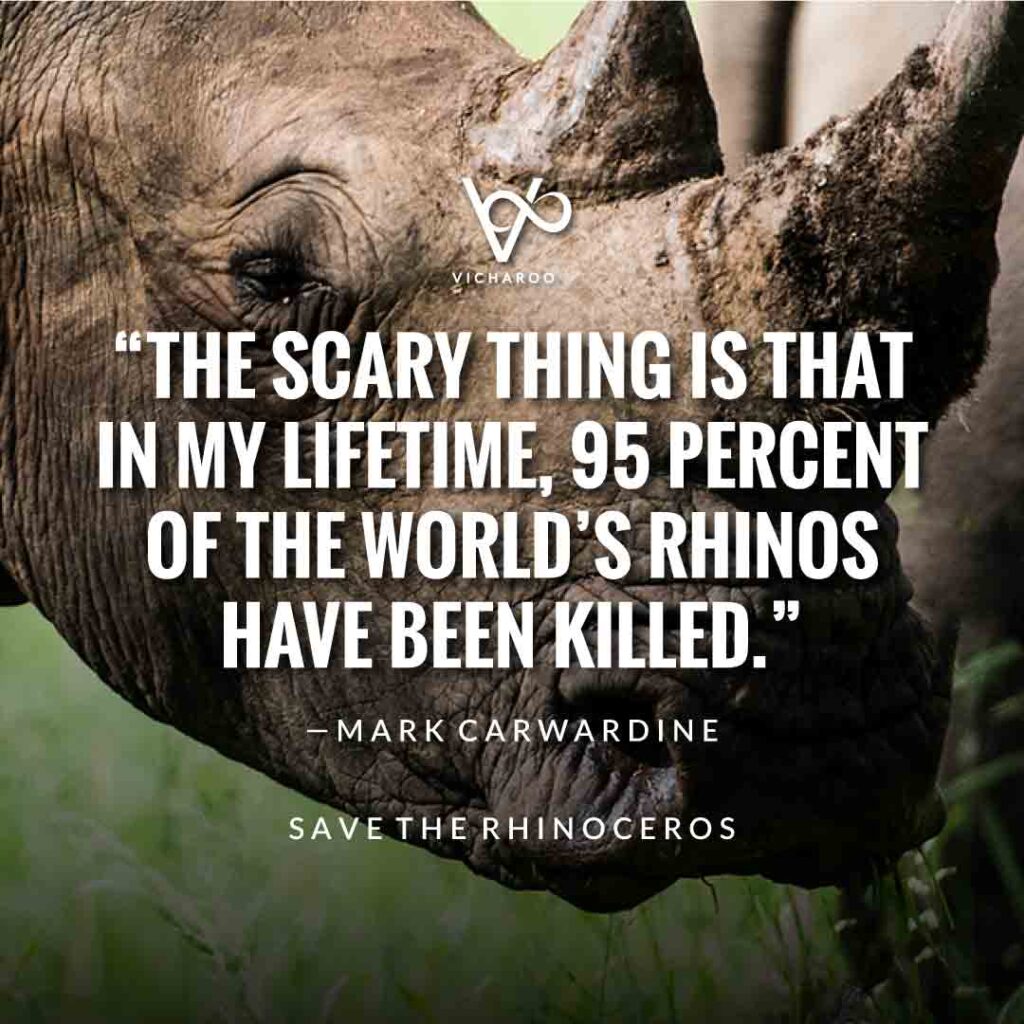 The scary thing is that in my lifetime, 95 percent of the world’s rhinos have been killed. — Mark Carwardine | Save Rhinoceros Quotes | World Rhino Day