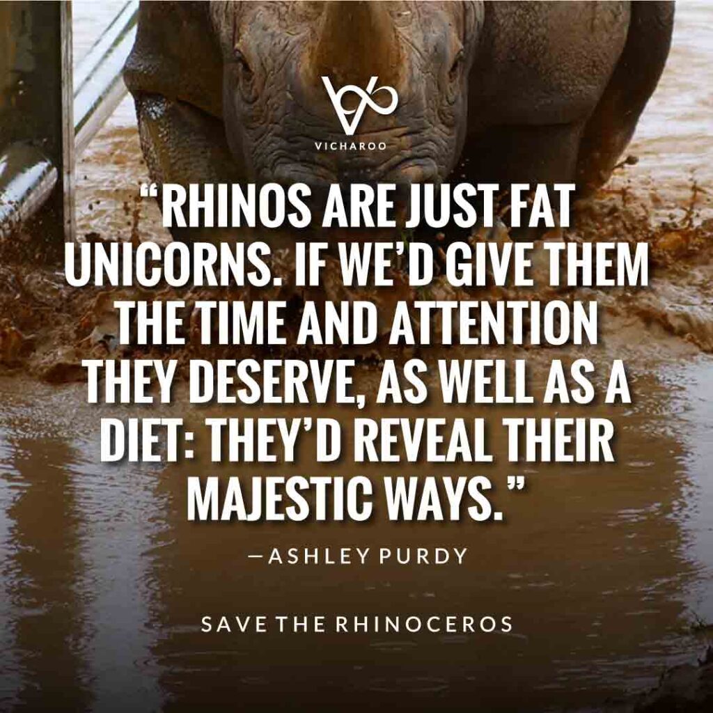 Rhinos are just fat unicorns. If we’d give them the time and attention they deserve, as well as a diet: They’d reveal their majestic ways— Ashley Purdy | Save Rhinoceros Quotes | World Rhino Day