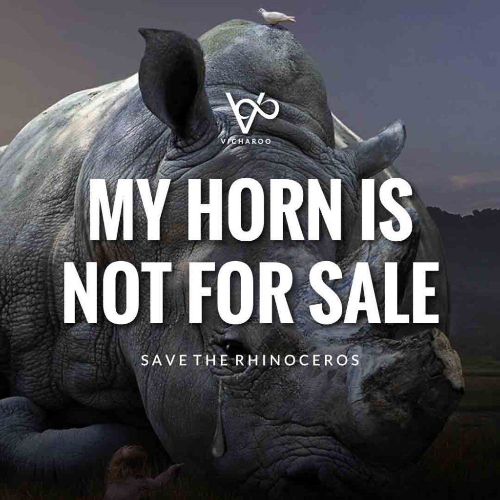 My horn is not for sale | Save Rhinoceros Slogans | World Rhino Day