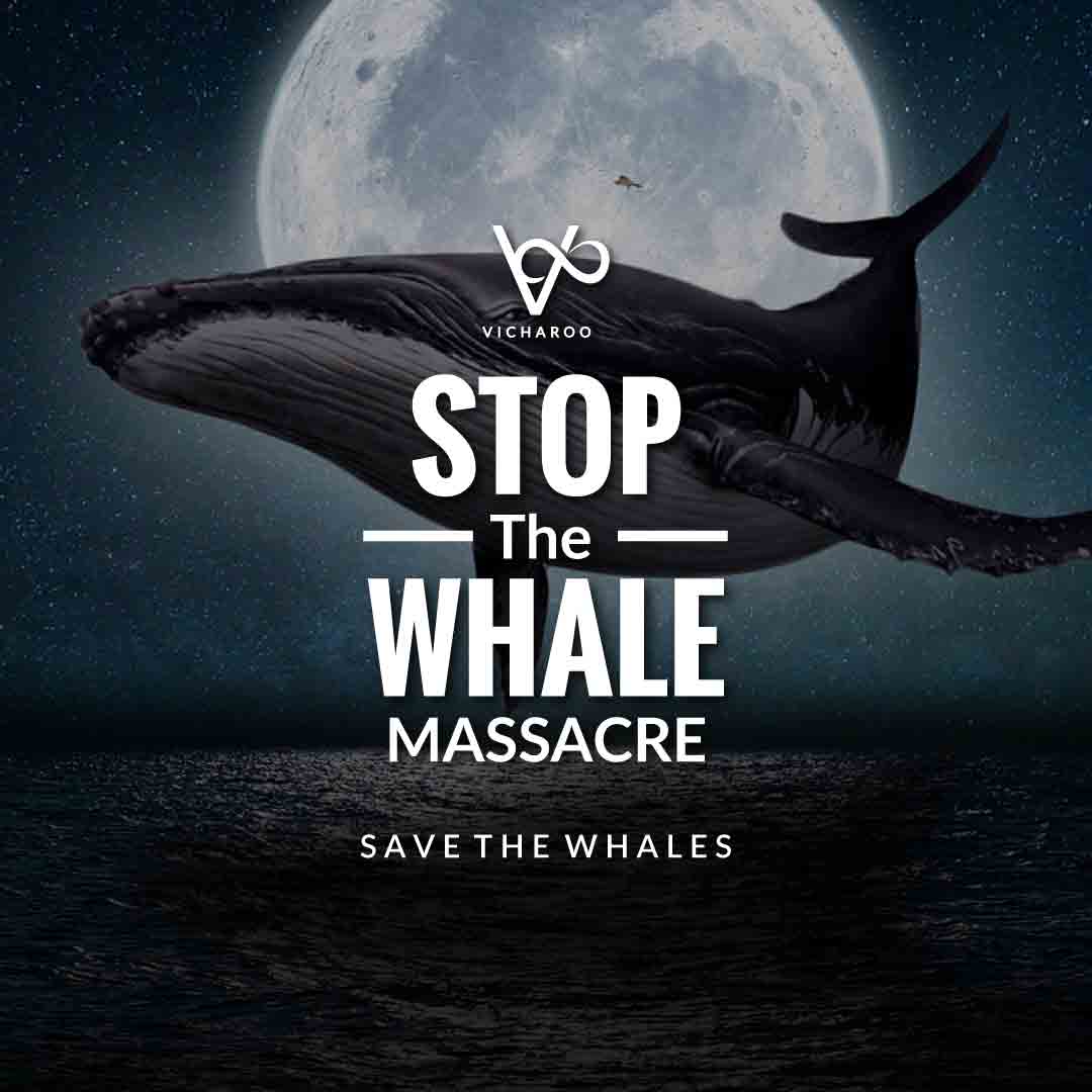 Stop the whale massacre | Save Blue Whales Slogans | World Whale Day
