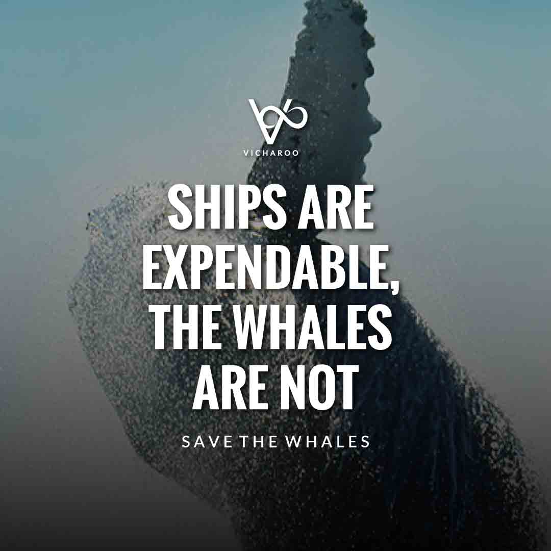 Ships are expendable, the whales are not. | Save Whales Slogans | World Whale Day