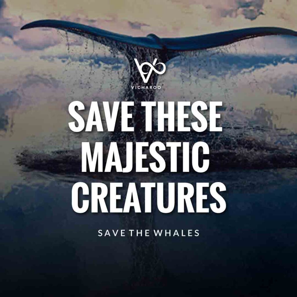 Save these majestic creatures | Save Whales Slogans | World Whale Day