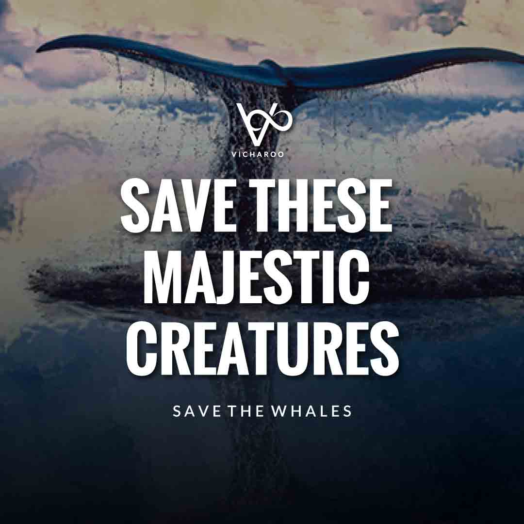 Save these majestic creatures | Save Whales Slogans | World Whale Day