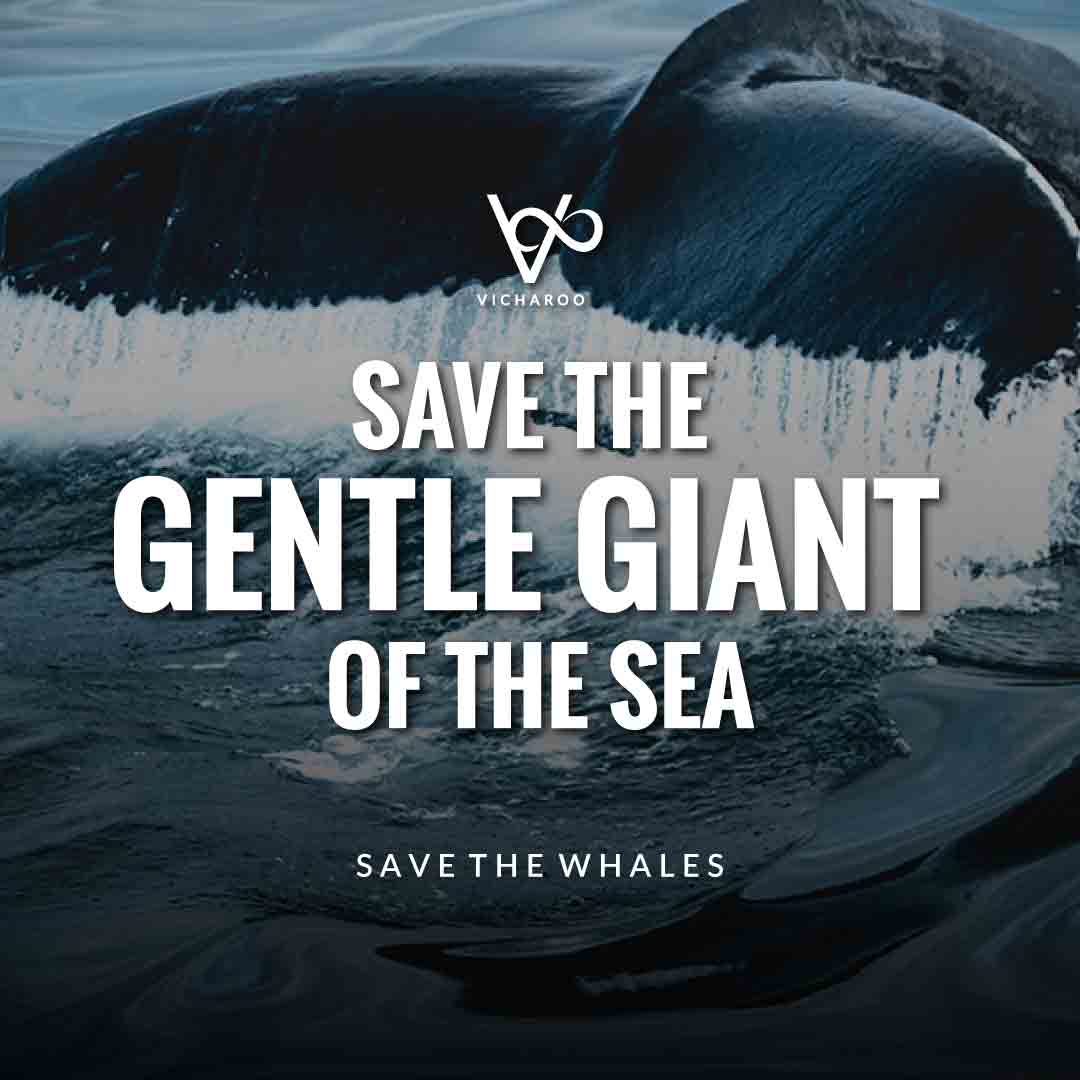 Save the gentle giant of the sea | Save Whales Slogans | World Whale Day