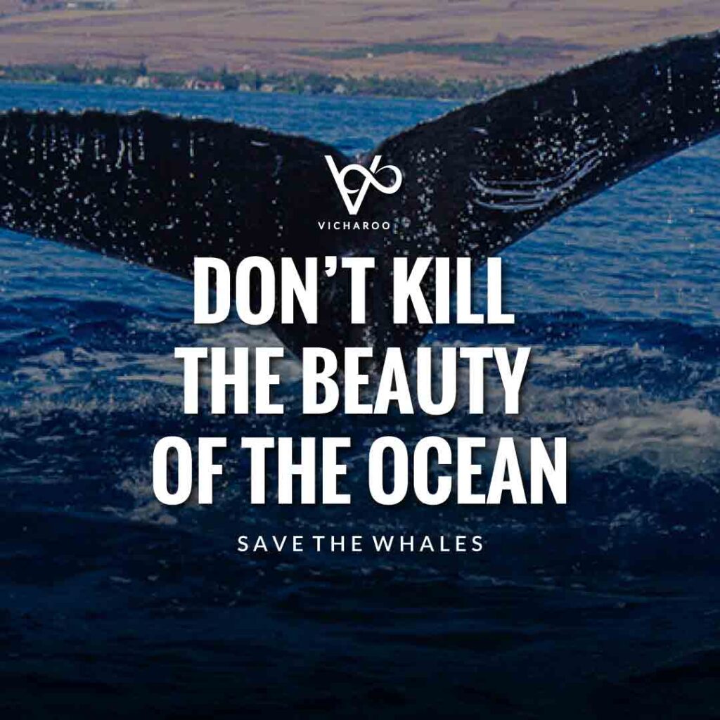 Don’t kill the beauty of the ocean | Save Whales Slogans | World Whale Day