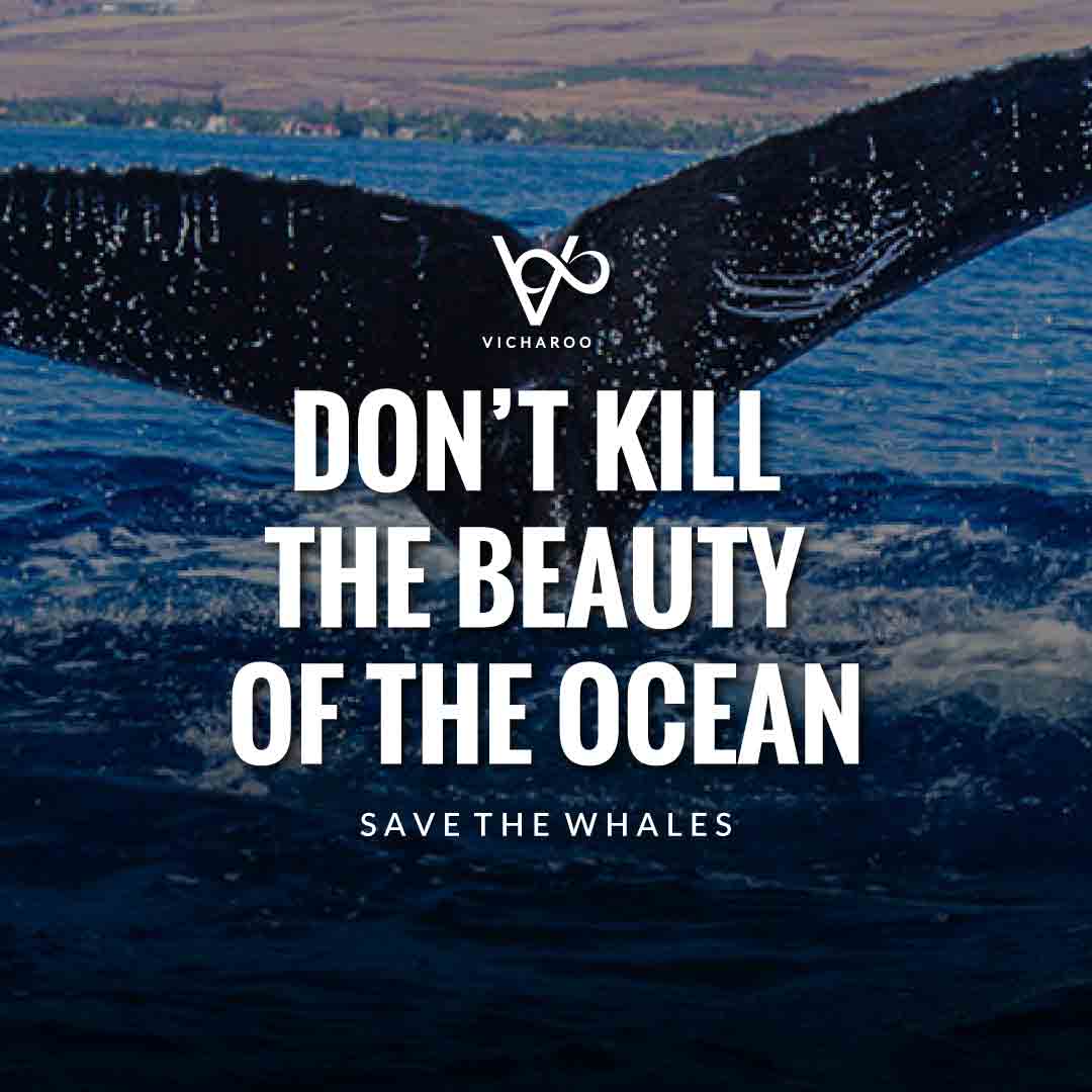 Don’t kill the beauty of the ocean | Save Whales Slogans | World Whale Day