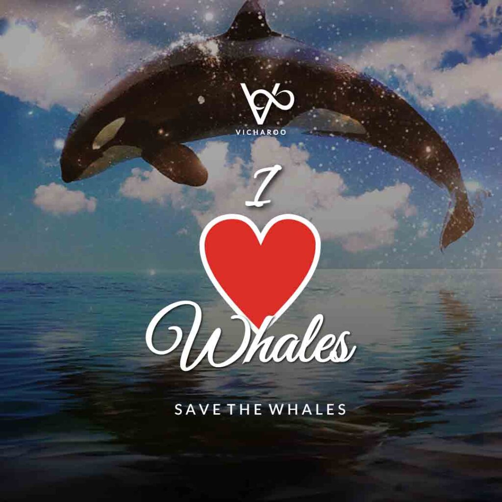 I love whales Slogans | World Orca Day