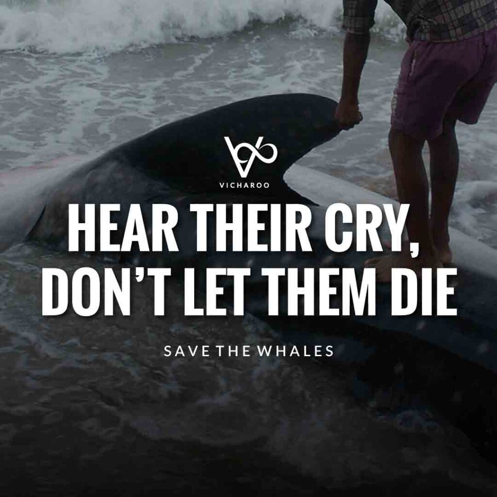 Hear their cry, don’t let them die | Save Whales Slogans | World Whale Day